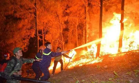 Quảng Ninh tăng cường công tác phòng cháy, chữa cháy rừng