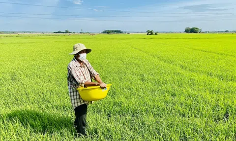 Quan ngại tình trạng nhựa tích tụ nhiều trong đất nông nghiệp