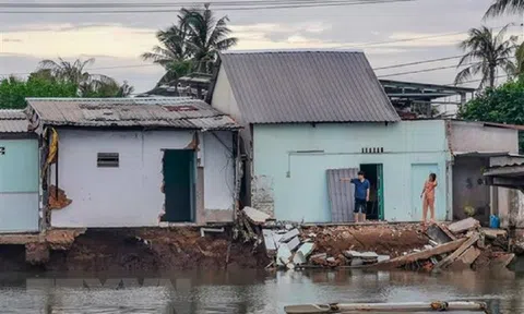 Thành phố Cần Thơ đầu tư hơn 270 tỷ đồng xây kè chống sạt lở sông Trà Nóc