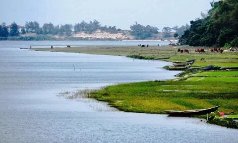 Quảng Ngãi: Dừng đề xuất Dự án điện mặt trời trên đầm An Khê vào Quy hoạch Phát triển Điện lực Quốc gia thời kỳ 2021-2030