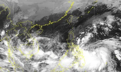 Biển Đông sắp đón bão số 7 Nalgae, cường độ mạnh cấp 8