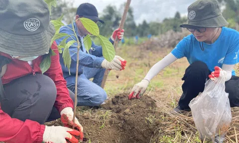 Chuyển đổi mục đích sử dụng đất không phép, Cơ khí Nông nghiệp Yên Mô bị phạt 400 triệu đồng