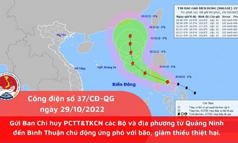 Bão Nalgae có xu hướng mạnh dần lên