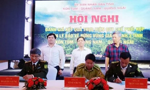 Chi cục Kiểm lâm các tỉnh Kon Tum, Quảng Nam, Quảng Ngãi phối hợp quản lý bảo vệ rừng