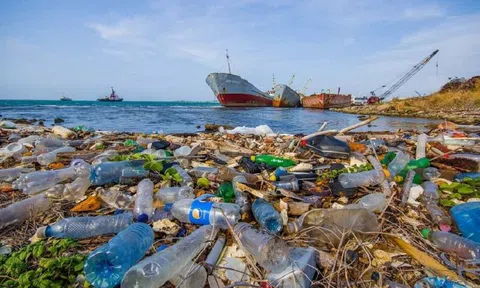 Loại bỏ rác thải nhựa để chống ô nhiễm đại dương
