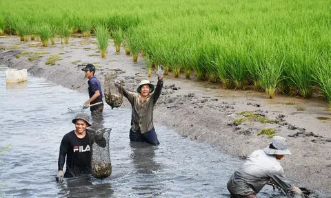Cà Mau: Tập trung phát triển các sản phẩm nông nghiệp sạch, an toàn