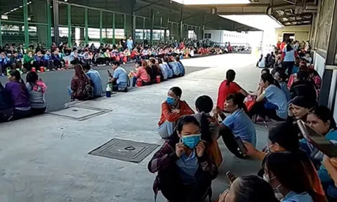 TP.HCM: Nhiều doanh nghiệp thu hẹp sản xuất, hoạt động cầm chừng do thiếu đơn hàng