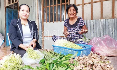 Kiên Giang: Người dân trồng riềng bán ngó riềng non nâng cao thu nhập