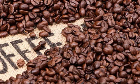Tiêu dùng xanh ngày 9/11: Giá cà phê trong nước giảm nhẹ, sắc đỏ bao trùm 2 sàn thế giới