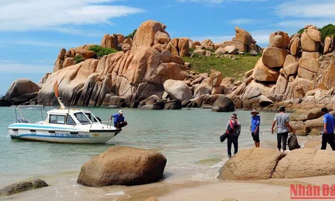 Khám phá vẻ đẹp hoang sơ đầy hấp dẫn của thắng cảnh Hòn Cau