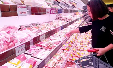 Giá heo hơi ngày 10/11: Dao động trong khoảng 54.000 - 59.000 đồng/kg