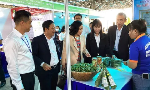 Tuần hàng OCOP Đà Nẵng 2022 thu hút nhiều doanh nghiệp tham gia cùng các sản phẩm tiêu biểu