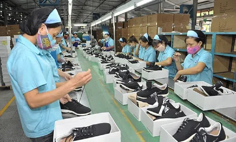 Ngày mai, khai mạc Triển lãm quốc tế Da & Giày lần thứ 22