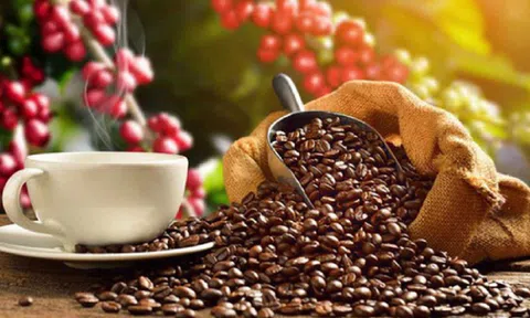 Tiêu dùng xanh ngày 16/11: Giá cà phê trong nước hôm nay giảm 400 đồng/kg, dao động ở mức 39.600 - 40.100 đồng/kg