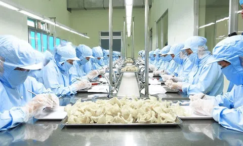 Để Yến sào trở thành sản phẩm xuất khẩu chủ lực khi xuất khẩu chính ngạch vào Trung Quốc