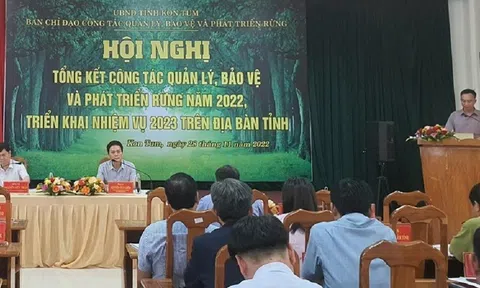 Năm 2022, Kon Tum trồng mới gần 5.300ha rừng