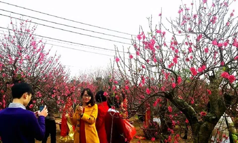 Người lao động được nghỉ 7 ngày dịp Tết Nguyên đán Quý Mão 2023
