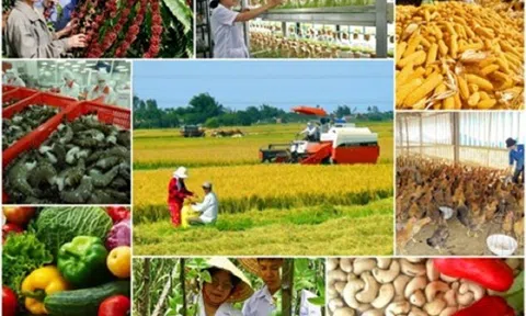 Ngành nông nghiệp tiếp tục đạt “mục tiêu kép”,  nhiều nhóm, sản phẩm đạt giá trị xuất khẩu trên 2 tỷ USD