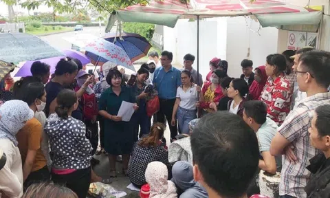 Đà Nẵng: Nhiều doanh nghiệp khó khăn trong sản xuất đang phải hoạt động cầm chừng