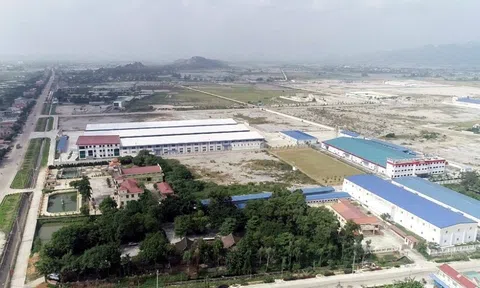 Ninh Bình: Chú trọng công tác bảo vệ môi trường trong các khu công nghiệp