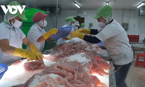 Thủ tướng Chính phủ chỉ đạo: Các biện pháp ổn định, phát triển thị trường lao động và chăm lo đời sống người lao động