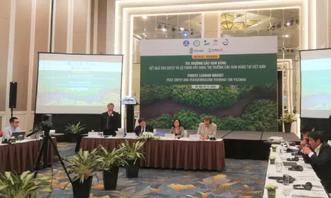 Xây dựng thị trường tín chỉ carbon rừng ở Việt Nam