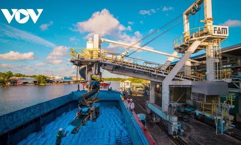 Dấu ấn xuất khẩu trên 700 tỷ USD tạo động lực mới cho thương mại 2023