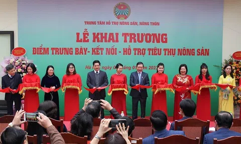 Khai trương điểm Trưng bày - Kết nối - Hỗ trợ tiêu thụ nông sản tại Hà Nội