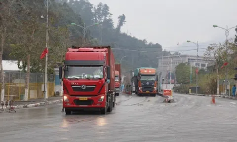 Hôm nay, khôi phục hoạt động xuất nhập khẩu ở Cửa khẩu Hữu Nghị