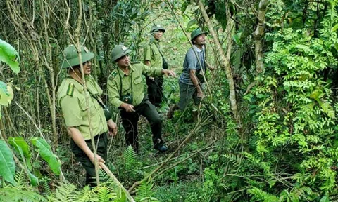 Bá Thước làm tốt công tác bảo vệ và phát triển rừng