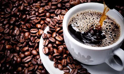 Giá cà phê ngày 12/1: Giá cà phê trong nước quay đầu giảm, dao động từ 39.000 đồng – 39.600 đồng/kg