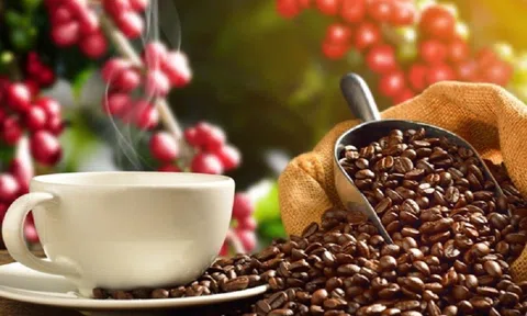 Giá cà phê ngày 13/1: Giá cà phê trong nước tiếp tục giảm, dao động từ 38.500 đồng – 39.100 đồng/kg