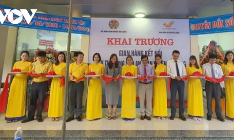 Sàn thương mại điện tử đưa nông sản Việt vươn ra thế giới