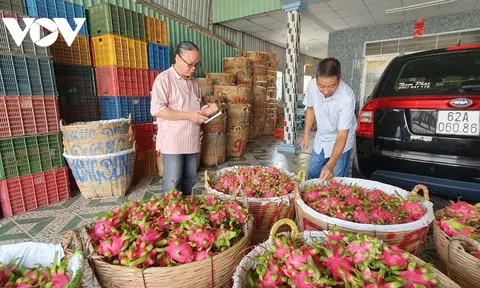 Doanh nghiệp nông sản “loay hoay” khi Trung Quốc mở cửa khẩu