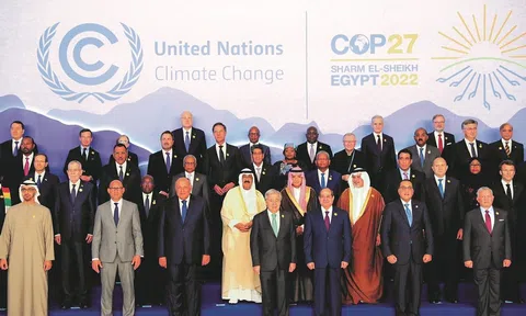 Những sự kiện kinh tế xanh nổi bật năm 2022