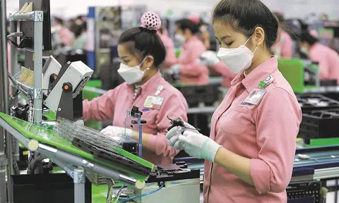 Doanh nghiệp muốn khởi nghiệp thành công cần trau dồi kiến thức và tăng cường kết nối