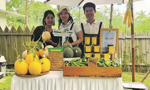 Đam mê làm nông nghiệp xanh, chủ nông trại thu hàng tỷ đồng mỗi năm