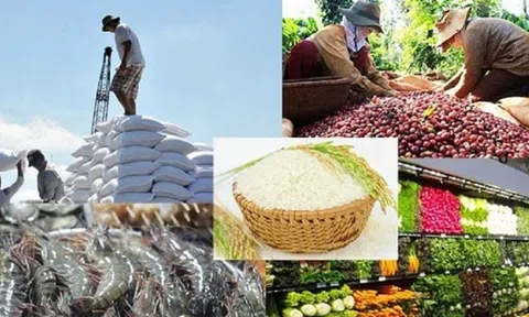 Nông nghiệp luôn là 'trụ đỡ bảo hiểm' về mặt xã hội