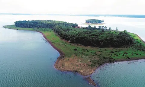 Đồng Nai: Sức bật nông thôn mới bền vững từ mô hình vườn mẫu kết hợp du lịch