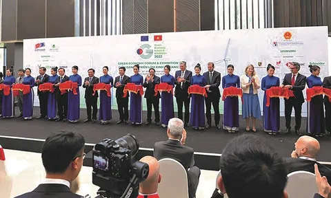 Kinh tế xanh tạo động lực cho phát triển xuất khẩu