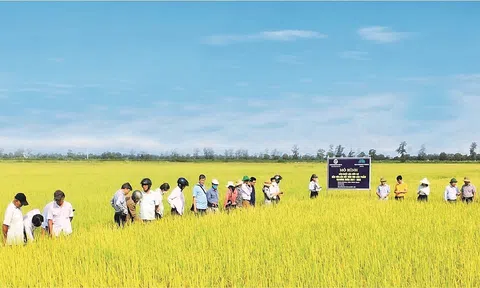 “Sepon Quảng Trị” với định hướng phát triển gắn liền với “Tam nông”