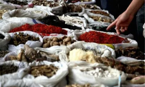 Xuất khẩu dược liệu sang Trung Quốc phải đăng ký