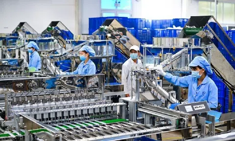 Phát triển xanh: Hướng đi mới của các doanh nghiệp Việt Nam