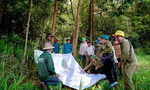 Thực hiện nghiêm công tác quản lý, bảo vệ rừng