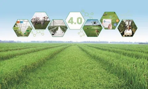 Vĩnh Phúc: Thúc đẩy chuyển đổi số ngành nông nghiệp và phát triển nông thôn