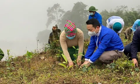 Năm 2023, tỉnh Yên Bái phấn đấu trồng mới trên 15.500 ha rừng, tỷ lệ che phủ rừng ổn định 63%