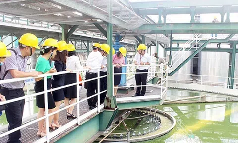 Đồng Nai: Hơn 90 dự án được vay vốn từ Quỹ Bảo vệ môi trường