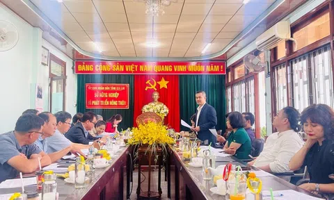 Cây đậu đỏ Nhật Bản được kỳ vọng góp phần thay đổi cơ cấu cây trồng và gia tăng sinh kế cho người dân Gia Lai