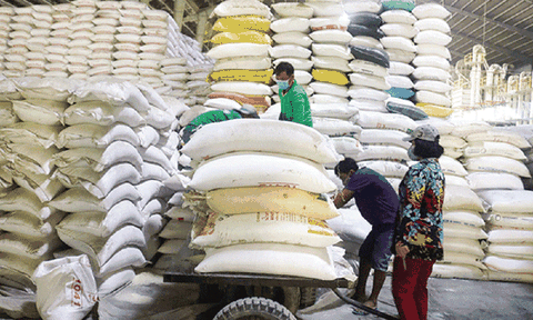 Chính phủ hỗ trợ gạo cho tỉnh Lạng Sơn trong thời gian giáp hạt