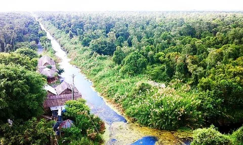 Cà Mau: Triển khai nhiều giải pháp chủ động phòng, chống cháy rừng U Minh Hạ